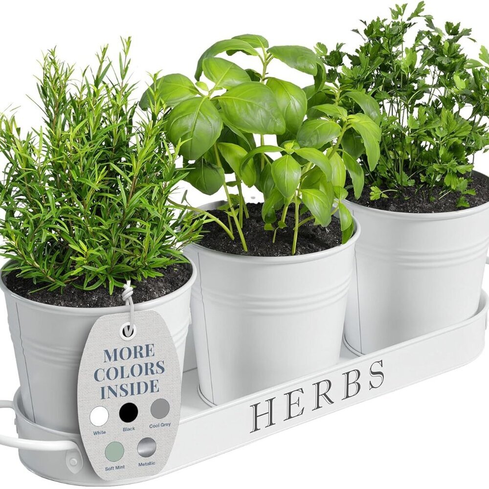 Indoor Herb Garden Planter Set with Tray, Metal Windowsill Plant Pots with Drain